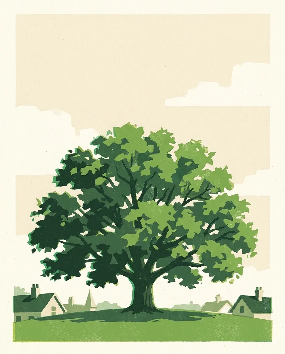 Hand-printed illustration of a broad maple tree in full leaf on a grassy rise, with the rooftops of a heritage neighbourhood behind it